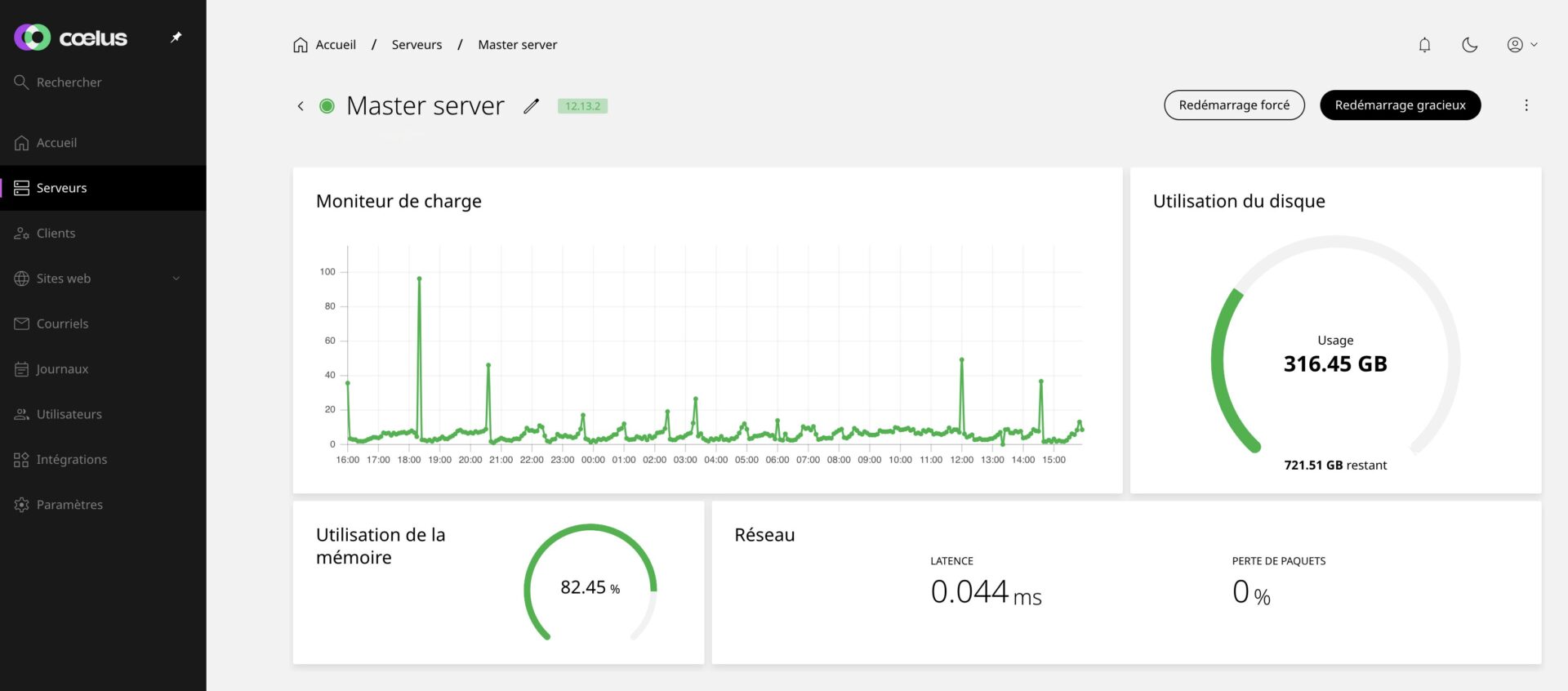 Enhance : un panel d’hébergement WordPress moderne pour son VPS - Enhance panel vue d'ensemble du serveur d'hébergement web - Coelus